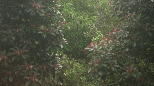 Zoom In Of Rain Droplets On The Glass Window 