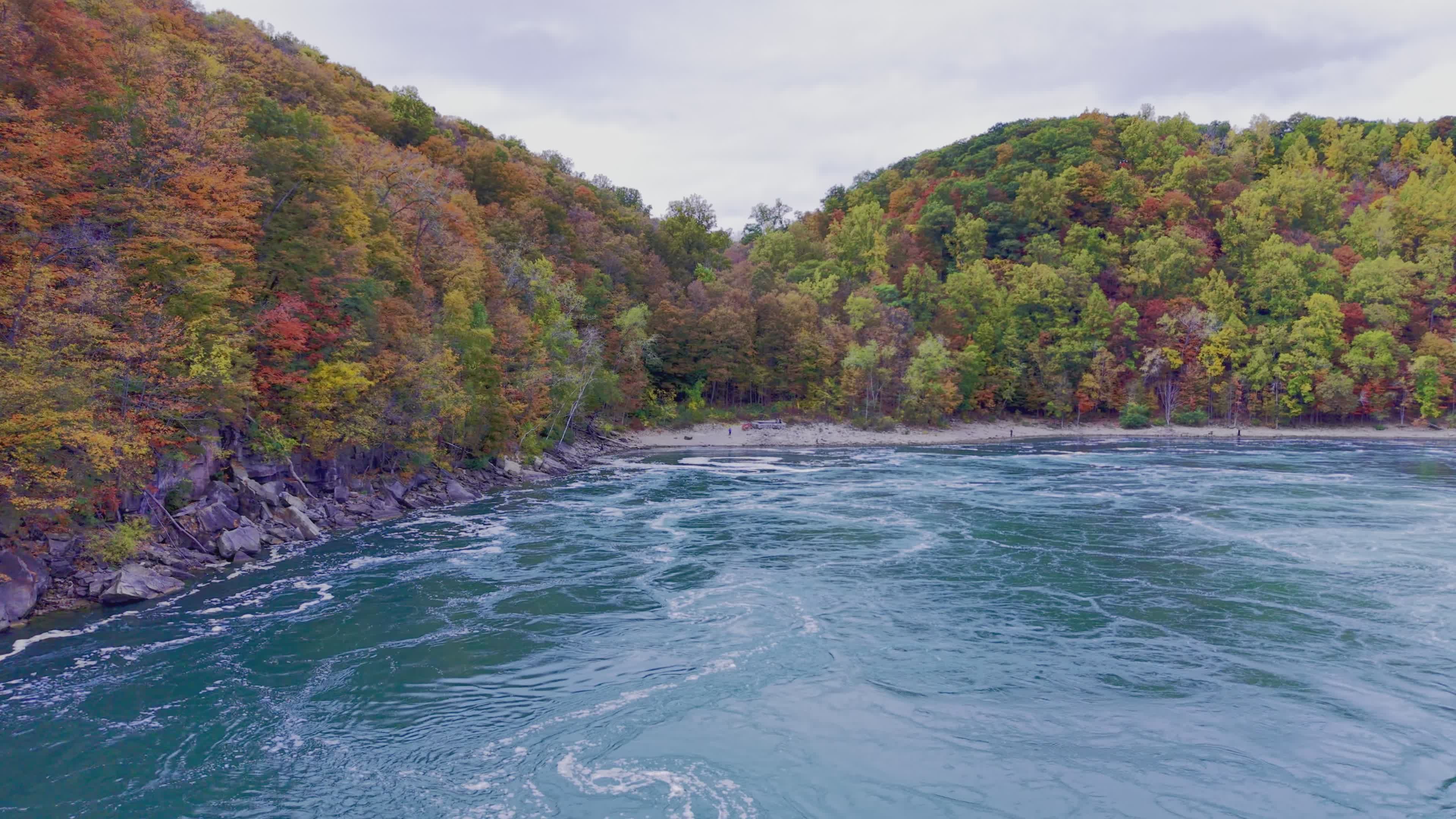 Scenic Autumn River Flowing in Tranquil Forest Free Stock Video Footage ...
