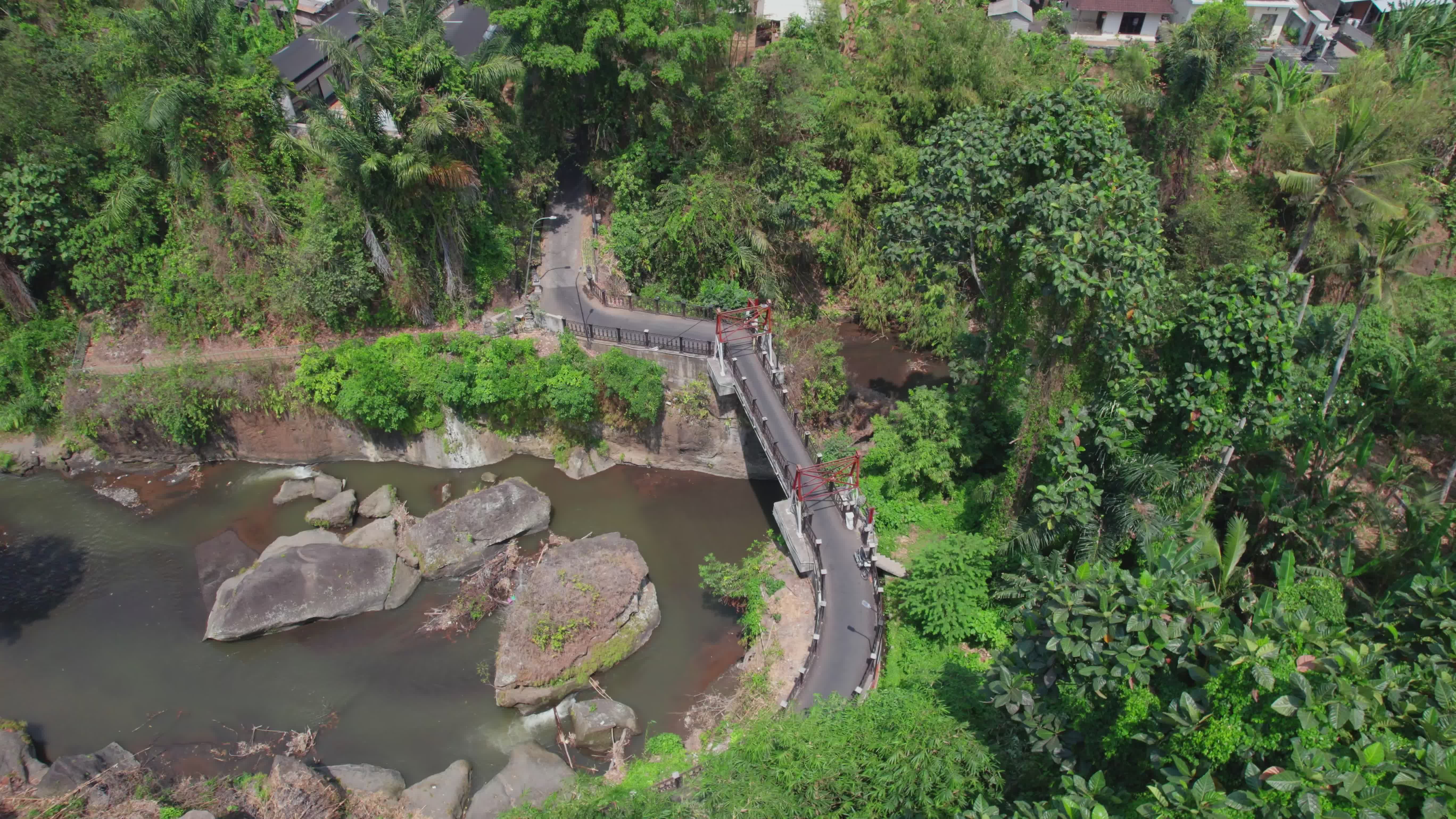 Luftaufnahme Eines Grünen Tropenwaldes Mit Fluss · Kostenloses Stock-Video