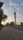 baghdad
