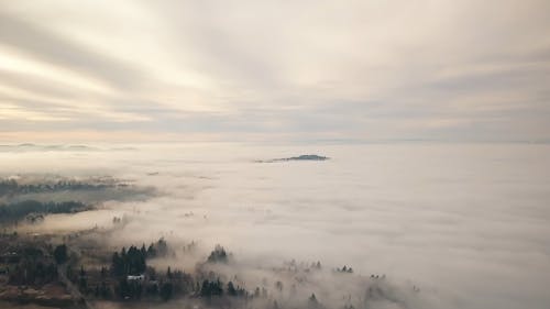 A Drone Shot of Tree Lines from Above the Clouds