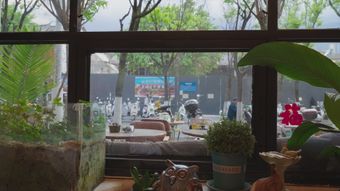 窗花高清视频免费下载视频素材