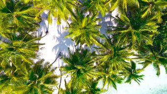 出行场景视频素材视频素材视频素材高清视频视频素材