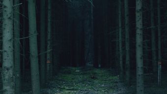 黑夜森林奔跑视频素材