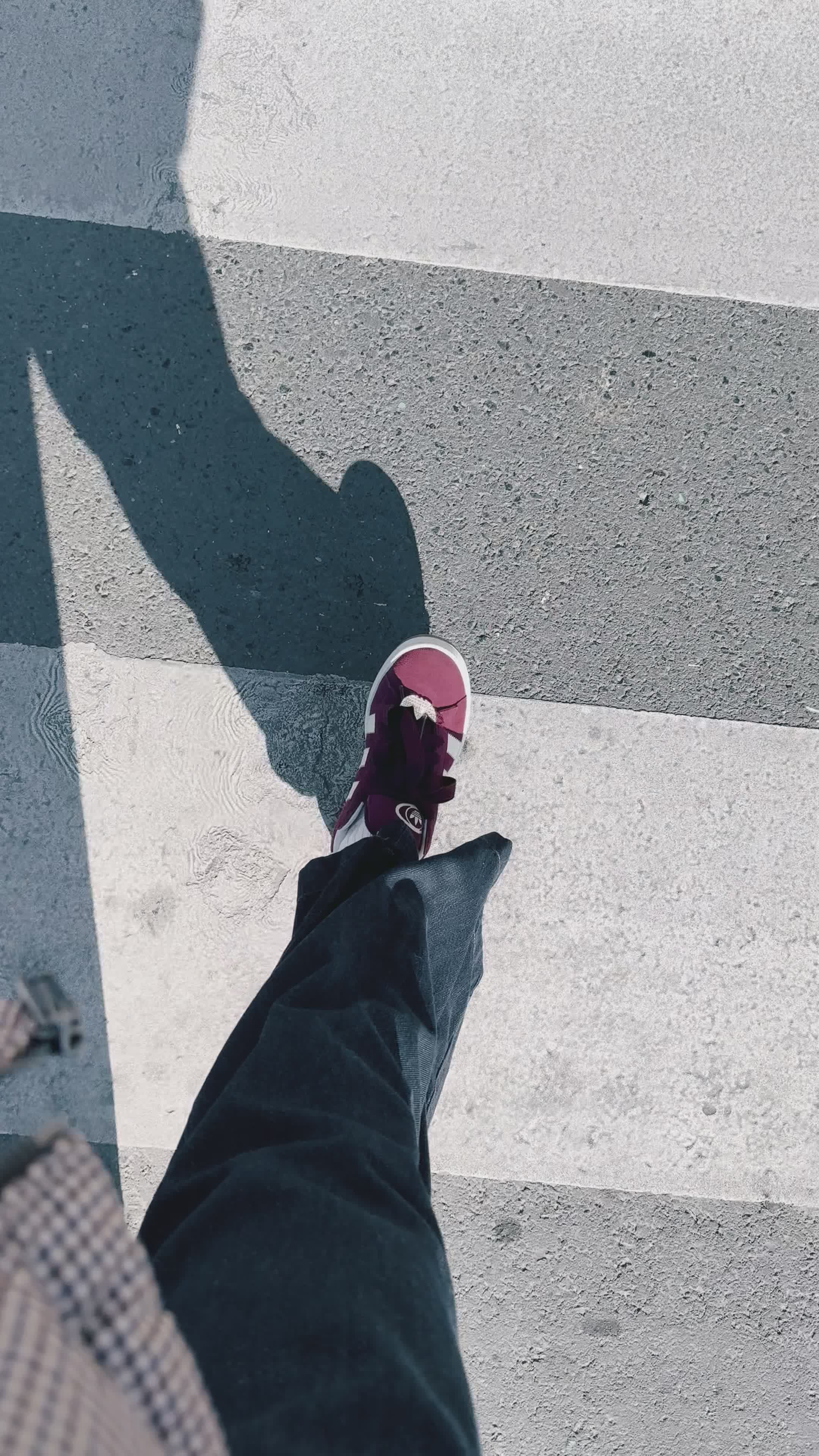 Casual Walk on Urban Street with Autumn Leaves Free Stock Video Footage ...
