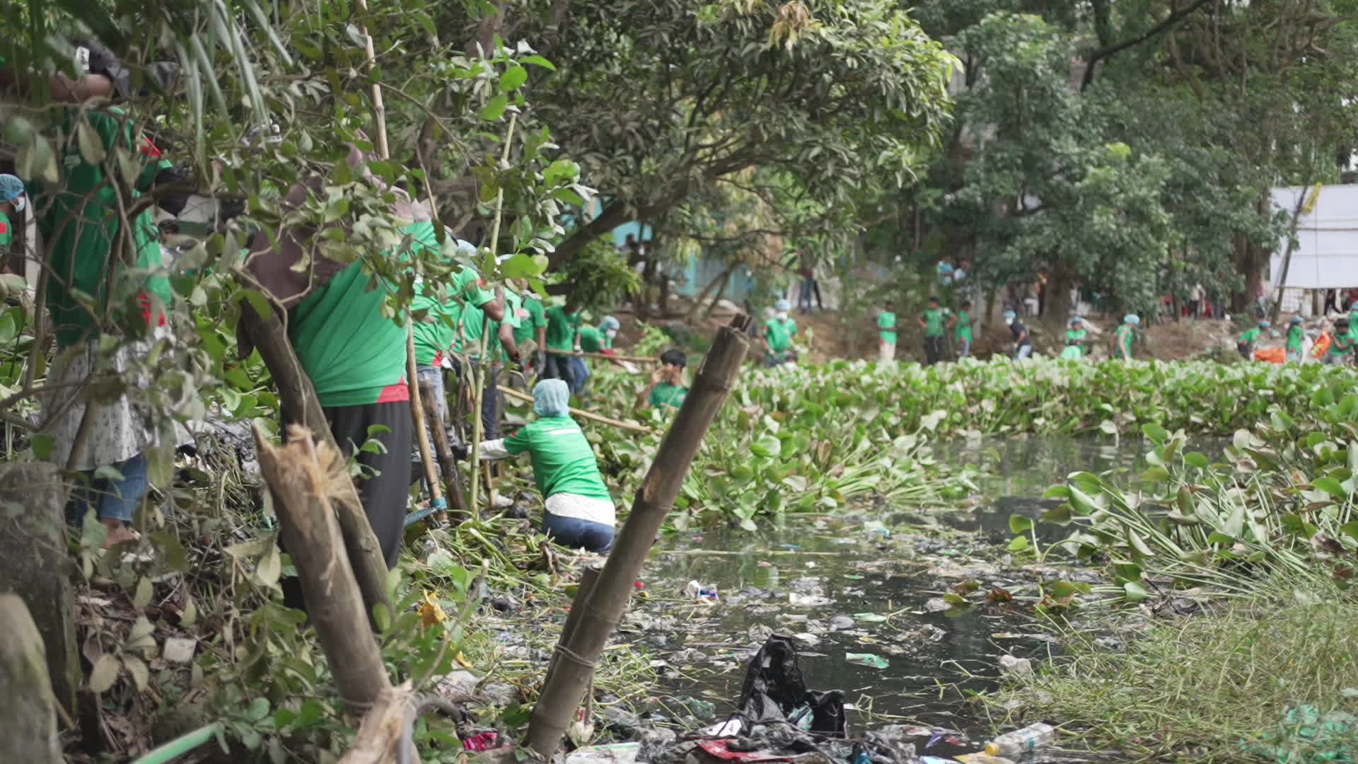 Community Cleanup Effort by the Riverbank Free Stock Video Footage ...