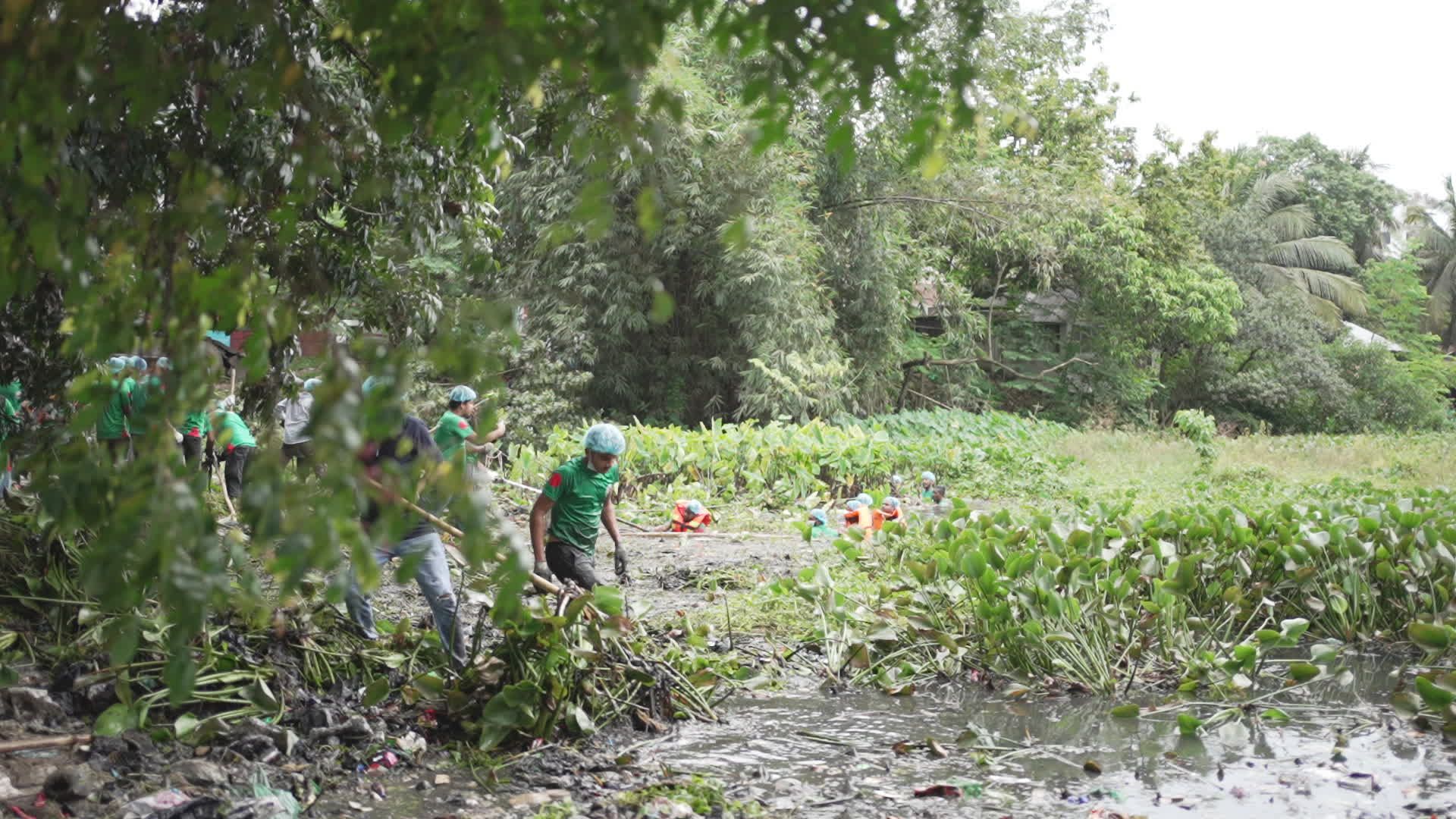Community Volunteers Cleaning Riverbank Area Free Stock Video Footage ...
