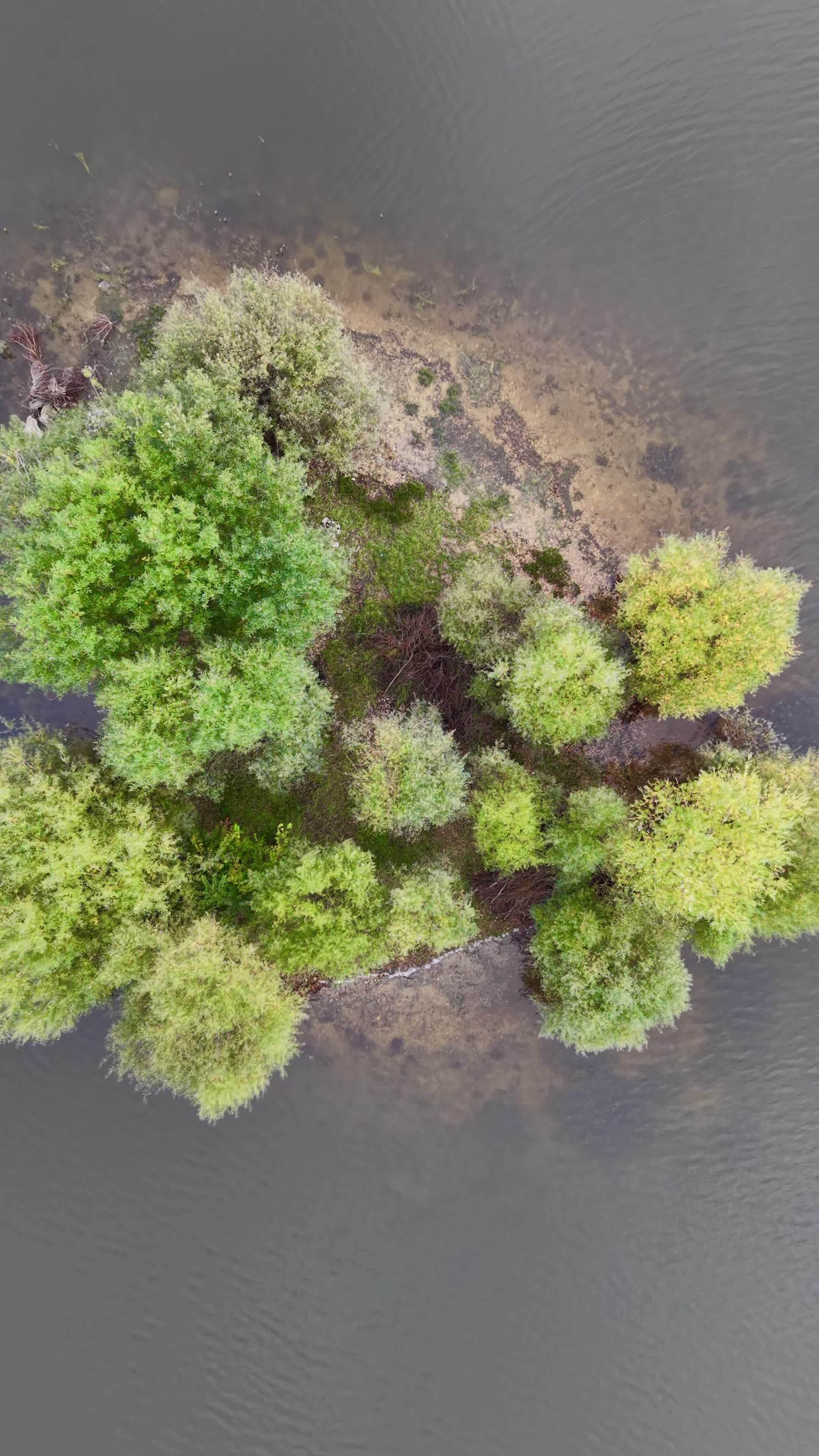 Aerial View of Lush Green Island Free Stock Video Footage, Royalty-Free ...