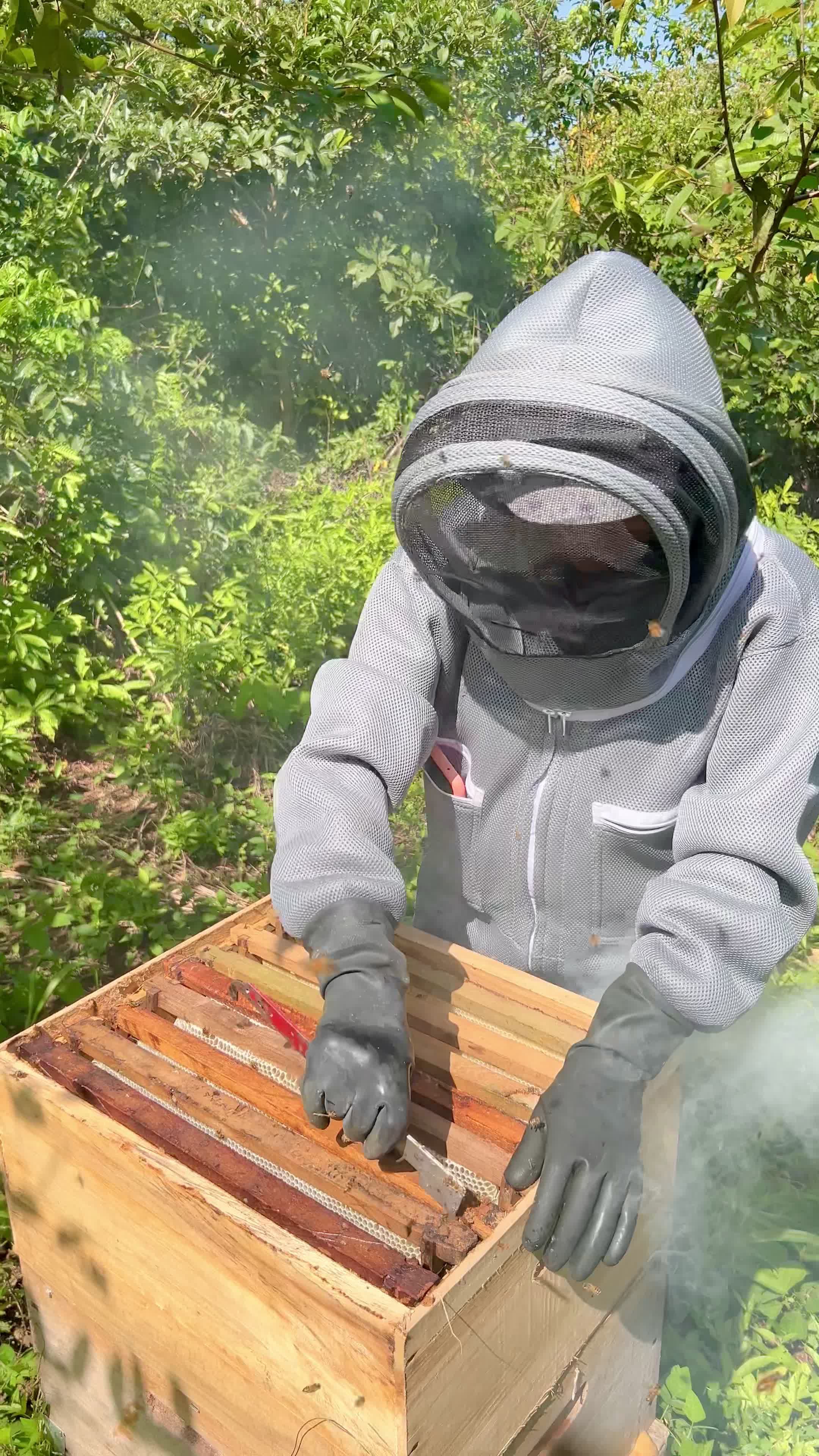 Beekeeper Working with Hive in Summer Garden Free Stock Video Footage ...