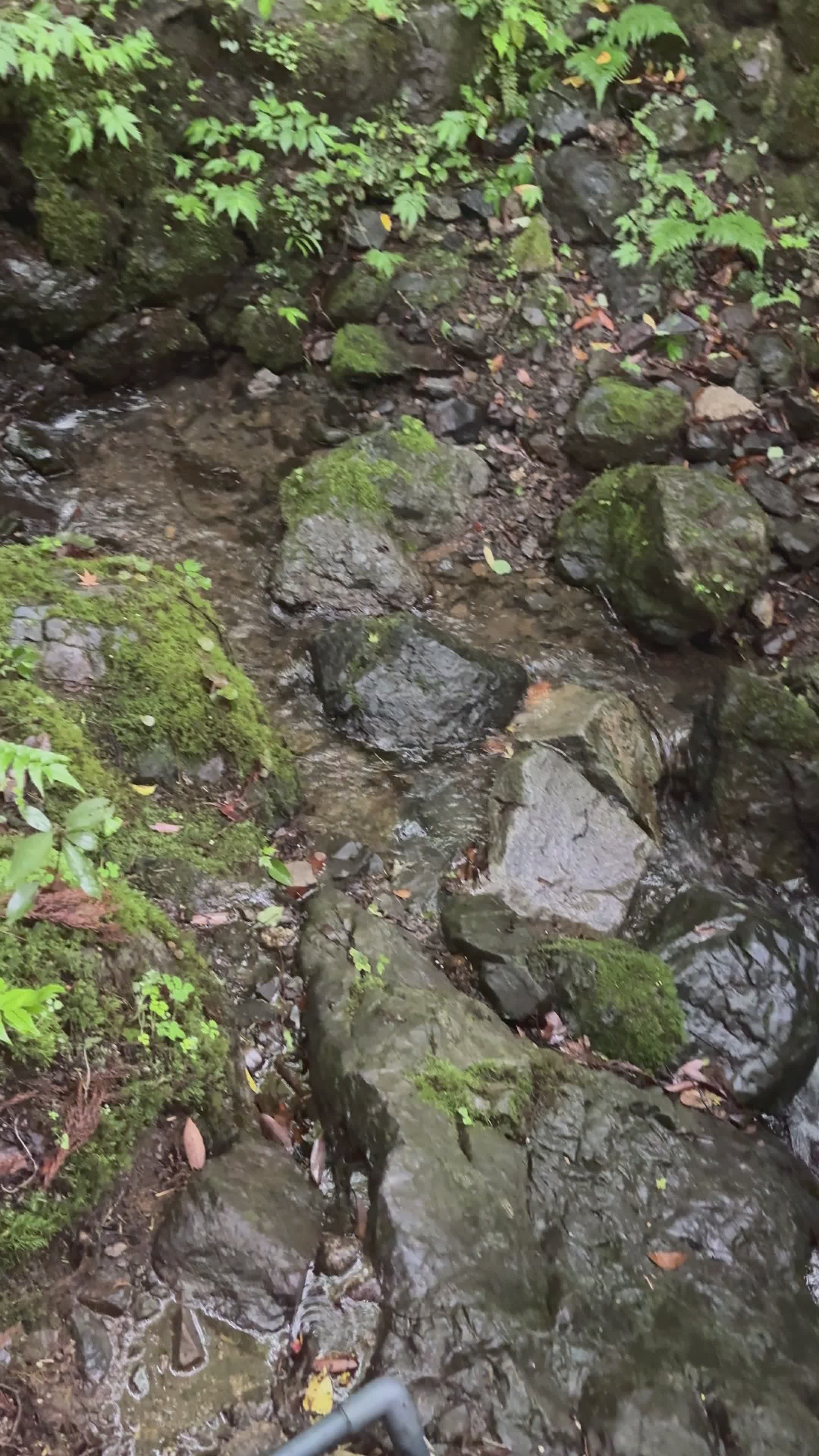 Enchanting Forest Waterfall with Mossy Rocks Free Stock Video Footage ...