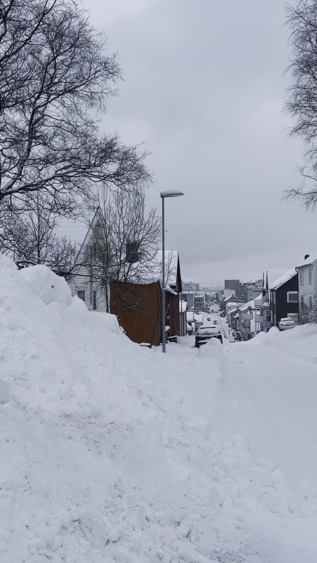 Paisaje Urbano Cubierto De Nieve En Invierno. · Vídeo de stock gratuito