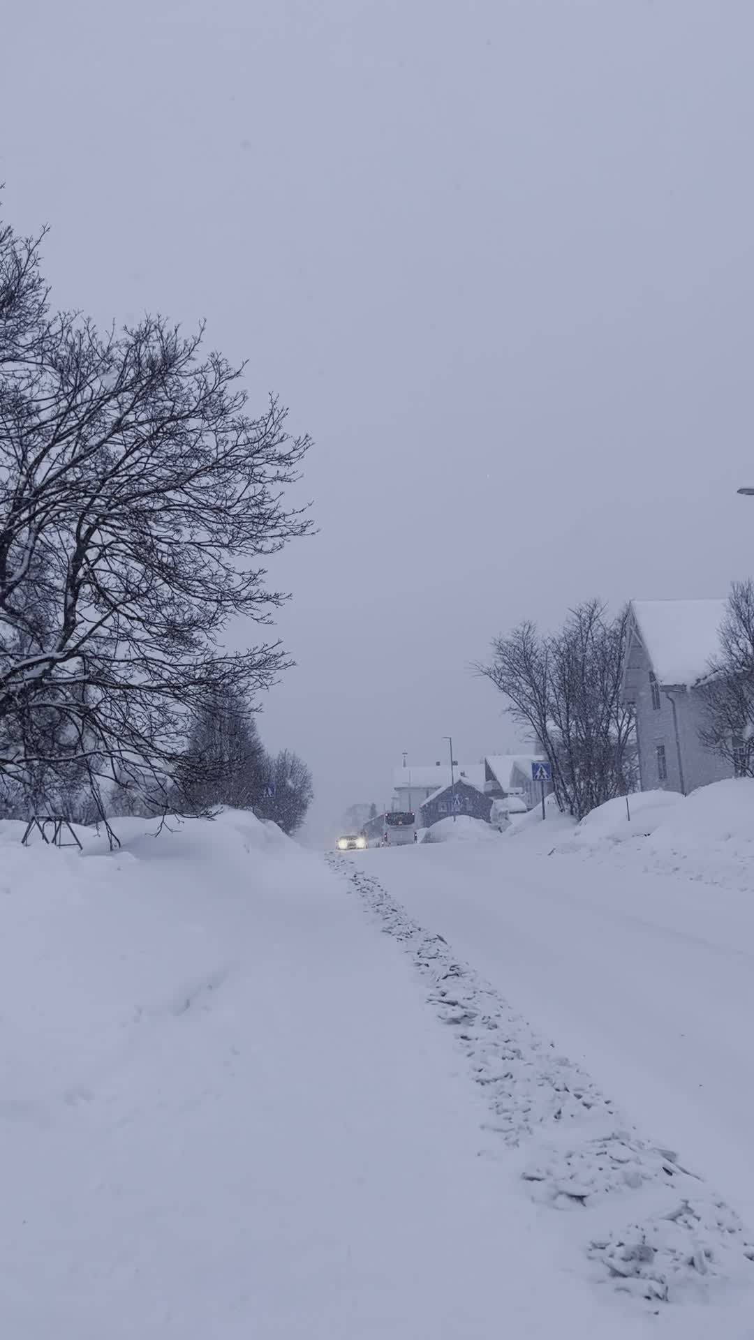 Tormenta De Nieve Invernal En Una Carretera Rural · Vídeo de stock gratuito