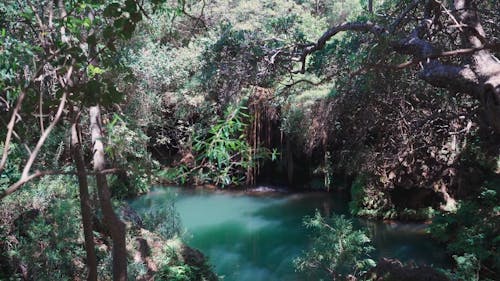 Pan Shot of a Hidden Lagoon in the Forest