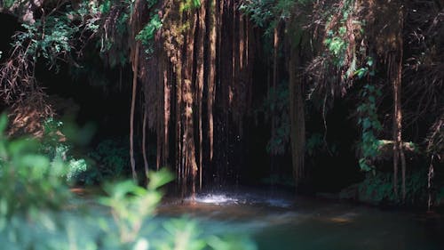 Pan Shot of a Hidden Lagoon in the Forest