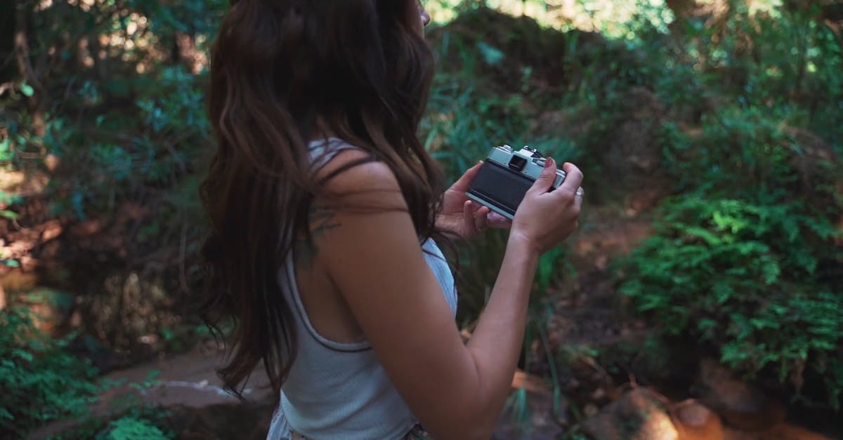 Видео скрытой камерой природ