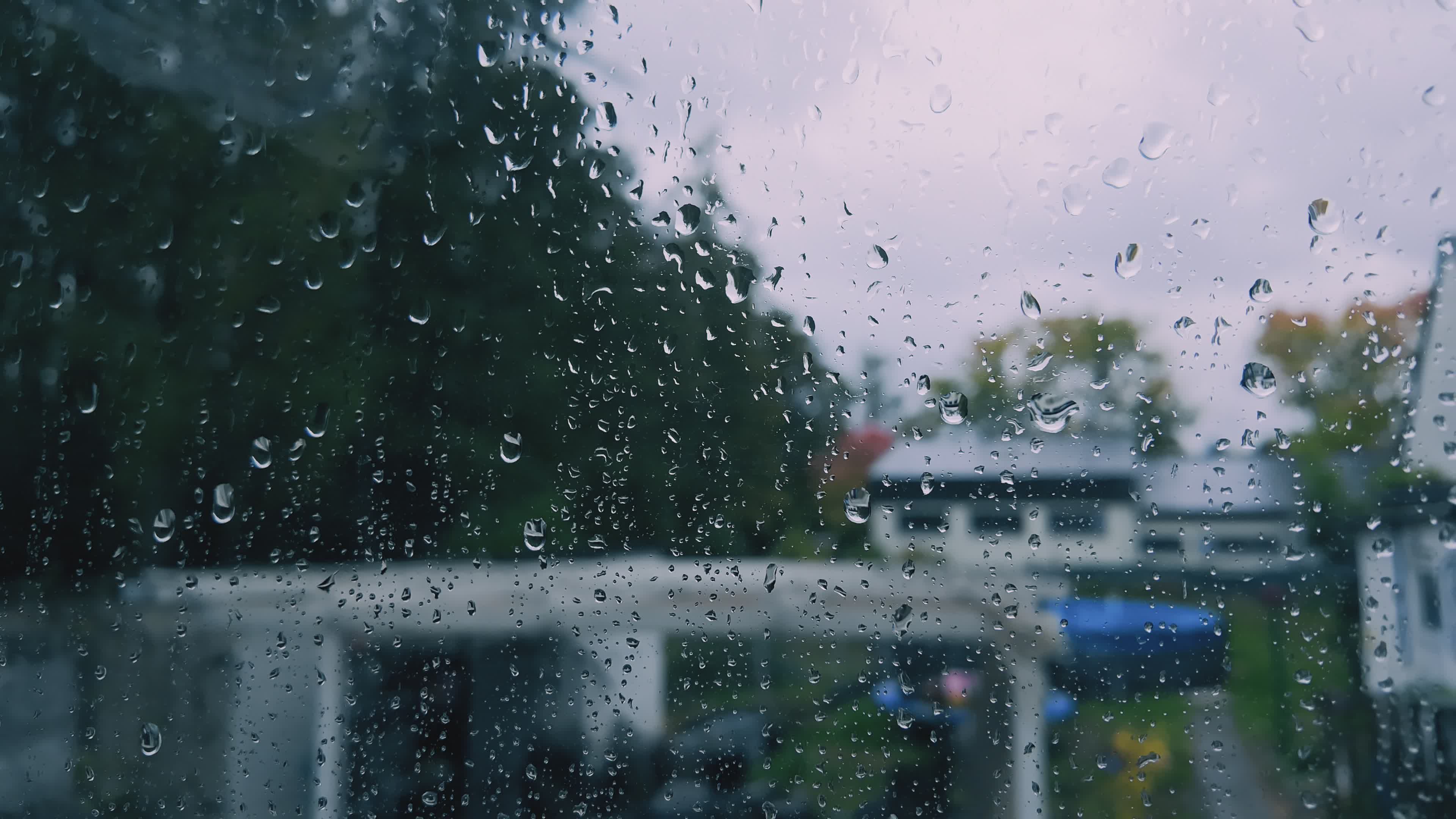 Rainy Window View of Suburban Neighborhood Free Stock Video Footage ...