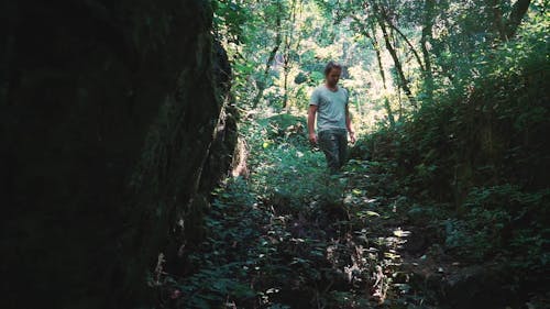 A Man Walking In The Forest