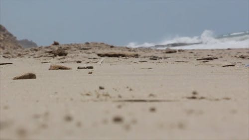 A Person Walking Barefooted In The Beach Sand