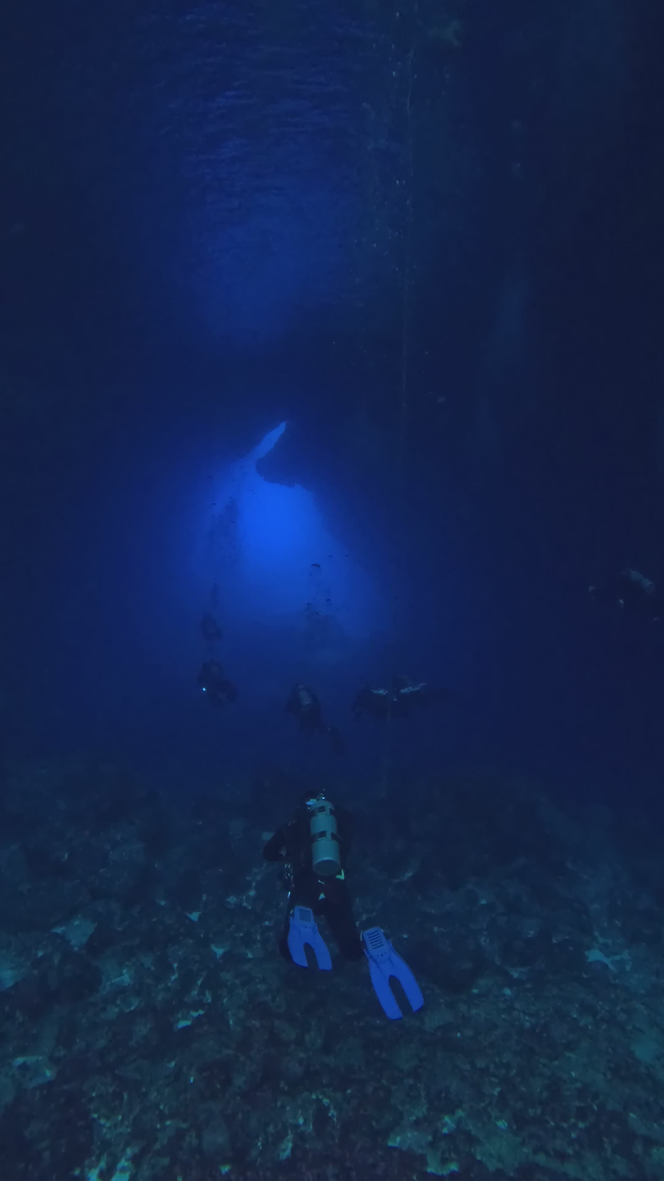 Diver Exploring Underwater Cave with Blue Light Free Stock Video ...