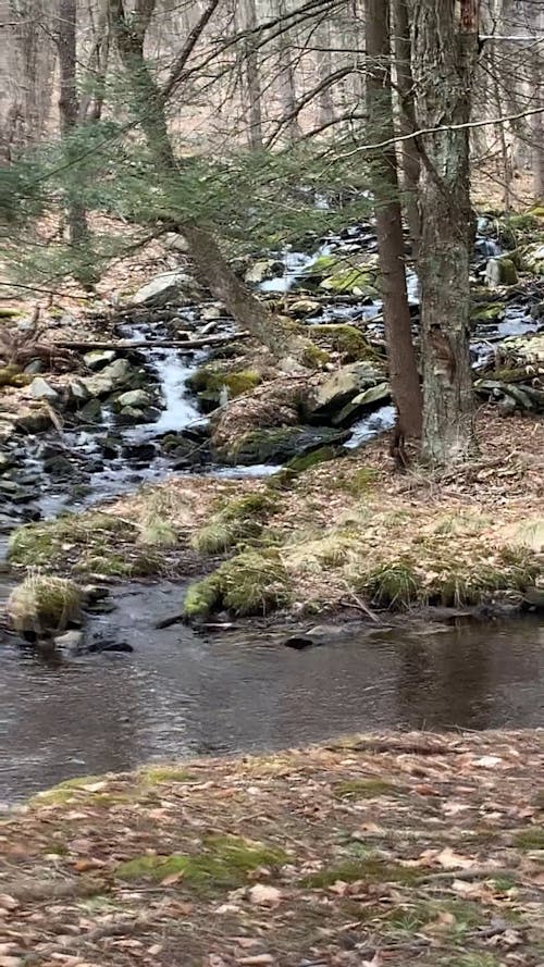 Water Flowing Through Rocks 