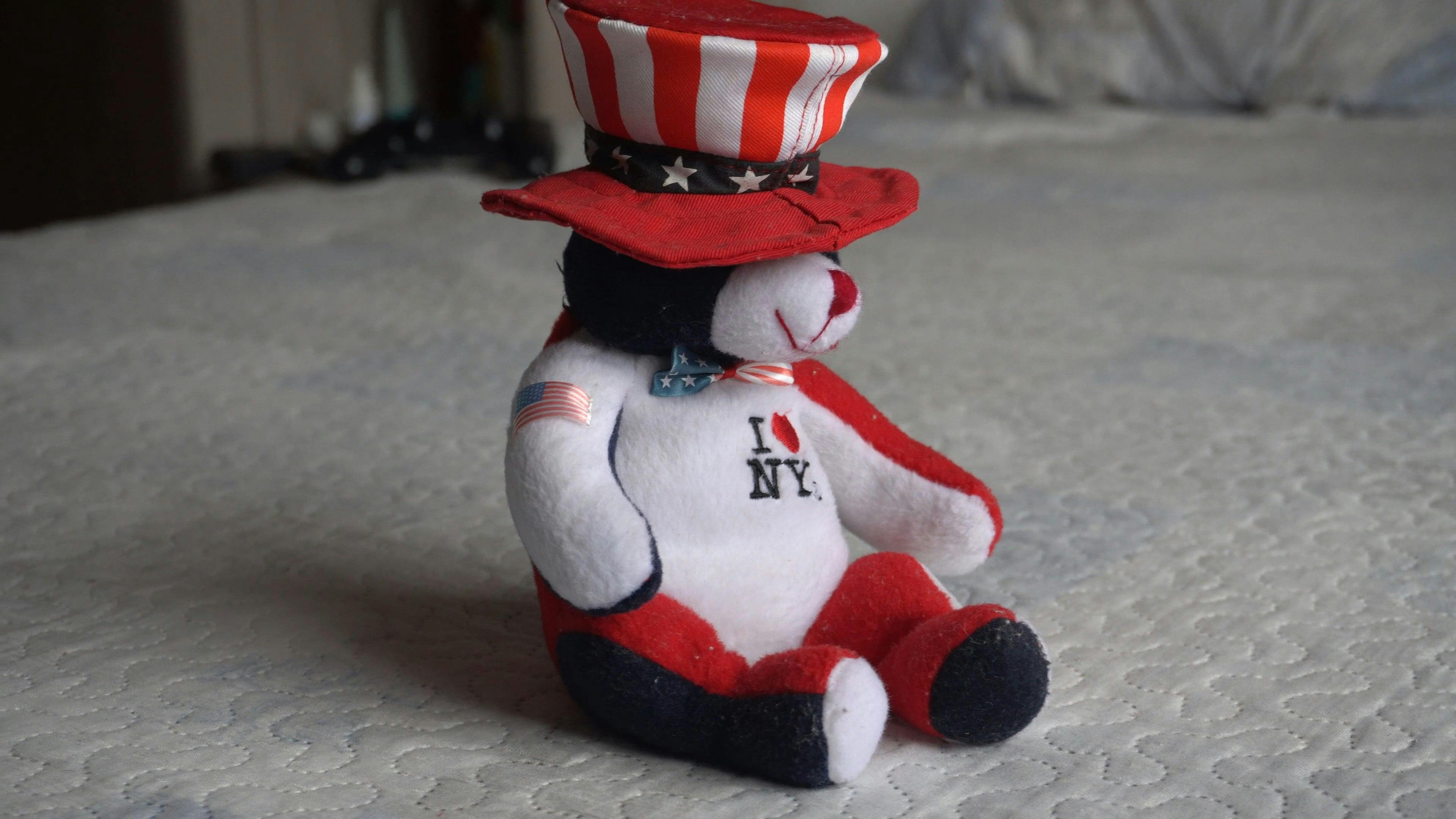 A Stuffed Teddy Bear In American Flag Colors · Free Stock Video