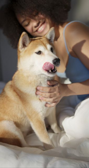 人和宠物视频素材