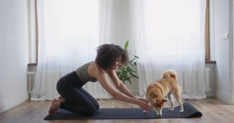 人和宠物视频素材免费下载视频素材