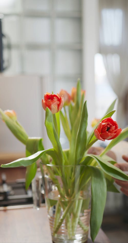 Arranging Fresh Flowers With Stalk On A Water Jug Uses As Vase