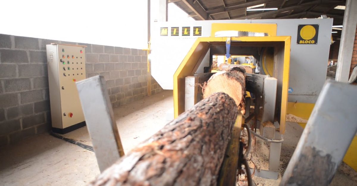 An Industrial Machine Processing Tree Logs Free Stock Video Footage ...