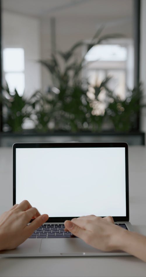 Using A Laptop With White Blank Screen