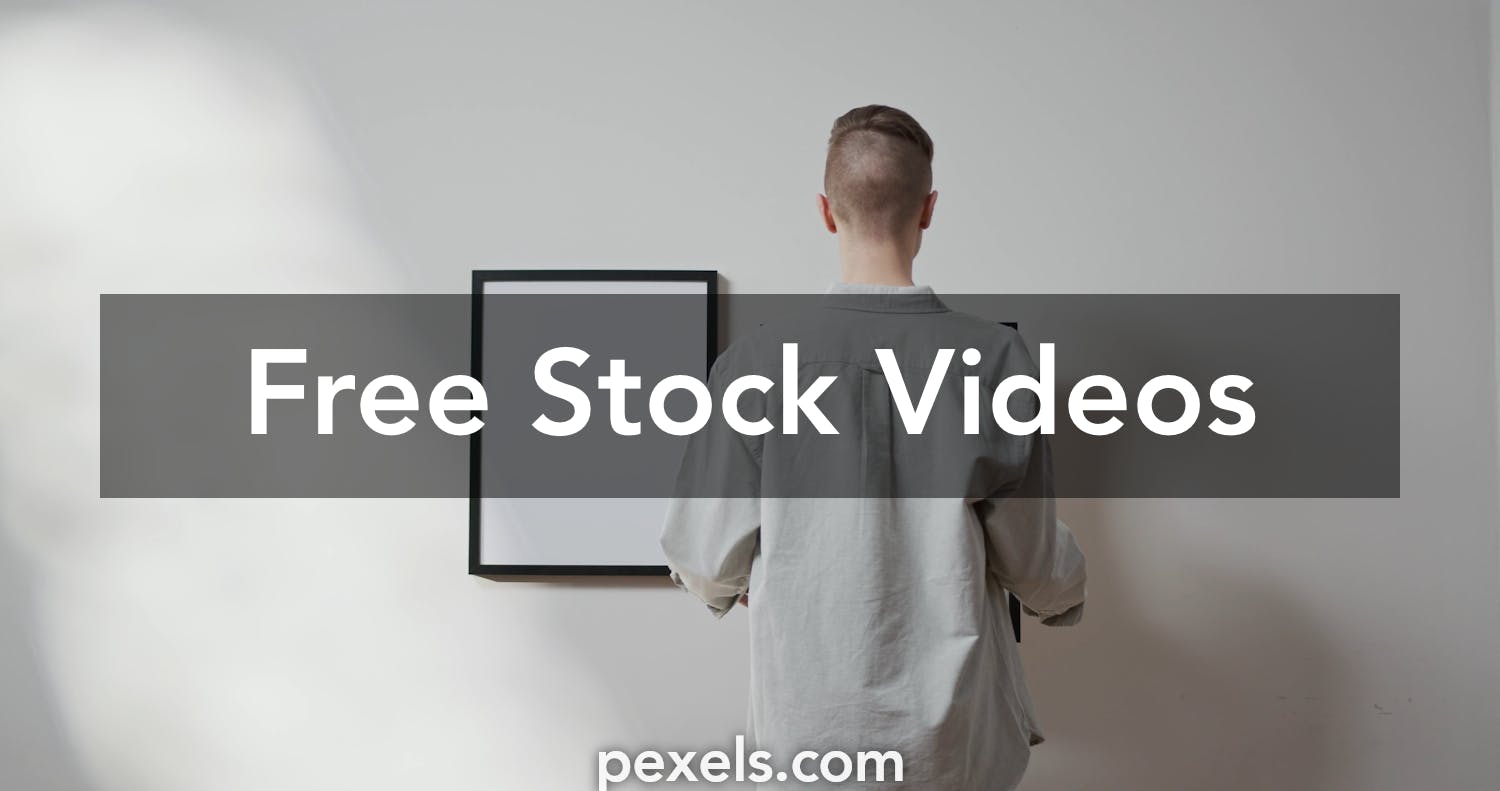 Download 4 000 Best Tshirt Mockup Videos 100 Free Download Pexels Stock Videos