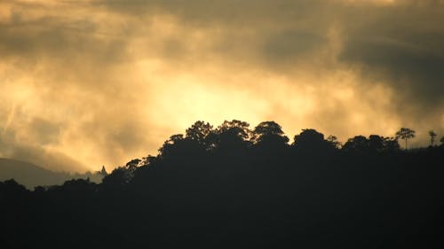 Silhouette Video Footage Of A Mountain Forest