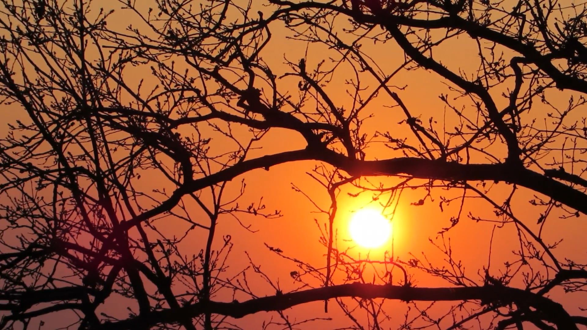 A View of a Beautiful Sunset Free Stock Video Footage, Royalty-Free 4K ...