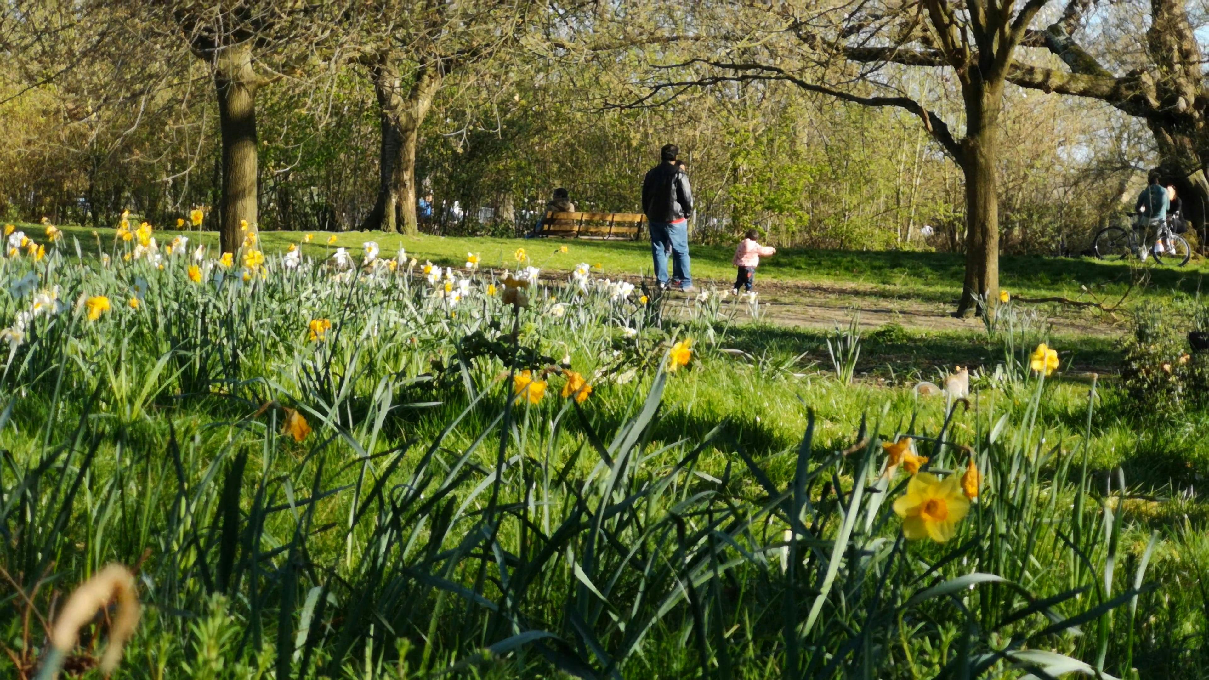 A Family Enjoying Their Day In The Garden Park · Free Stock Video