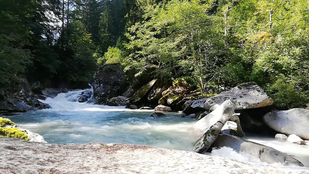 A View of water Flowing in the River Free Stock Video Footage, Royalty ...