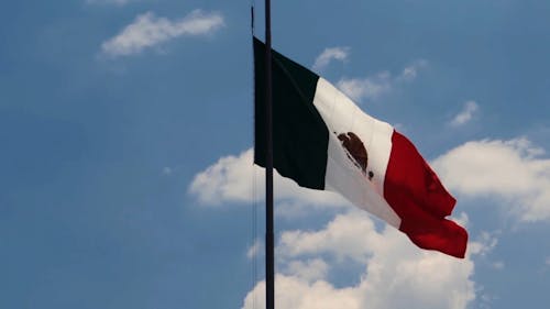 Mexican Flag HD. Looped., Stock Video