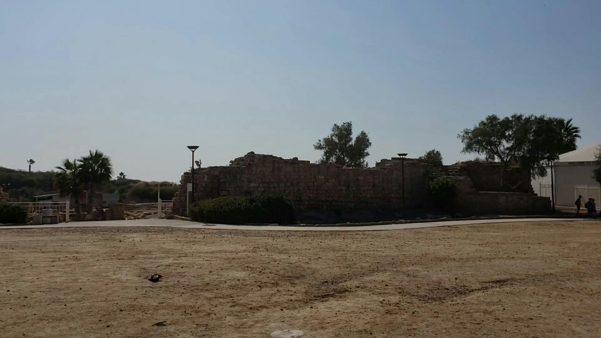 Video by Rafael  Castro