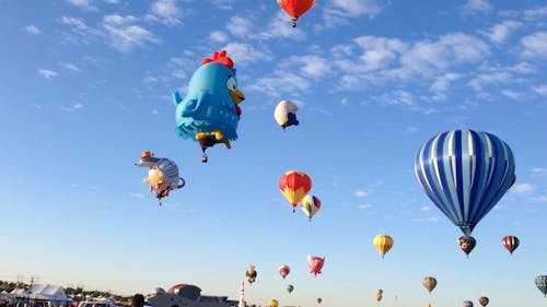 Watchers And Participants In An International Hot Air Balloon Festival 