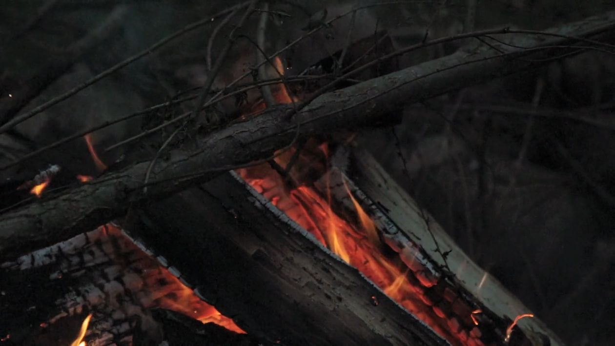 A Slow Motion Shot of Woods Burning Free Stock Video Footage, Royalty ...