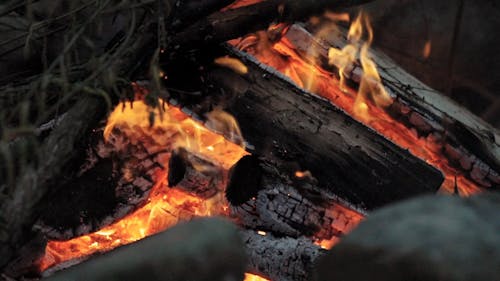 A Close-up Shot of Wood Burning