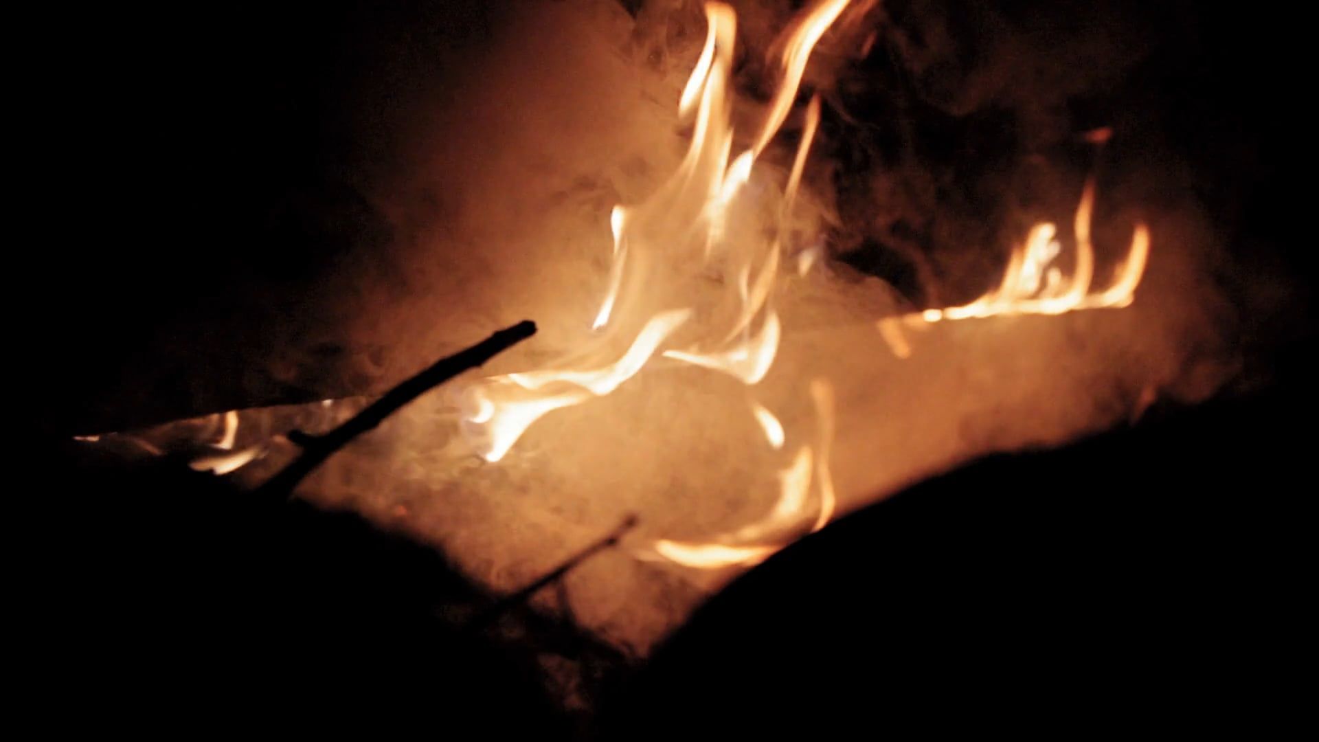 Close-up Footage Of Burning Fire Woods Free Stock Video Footage ...