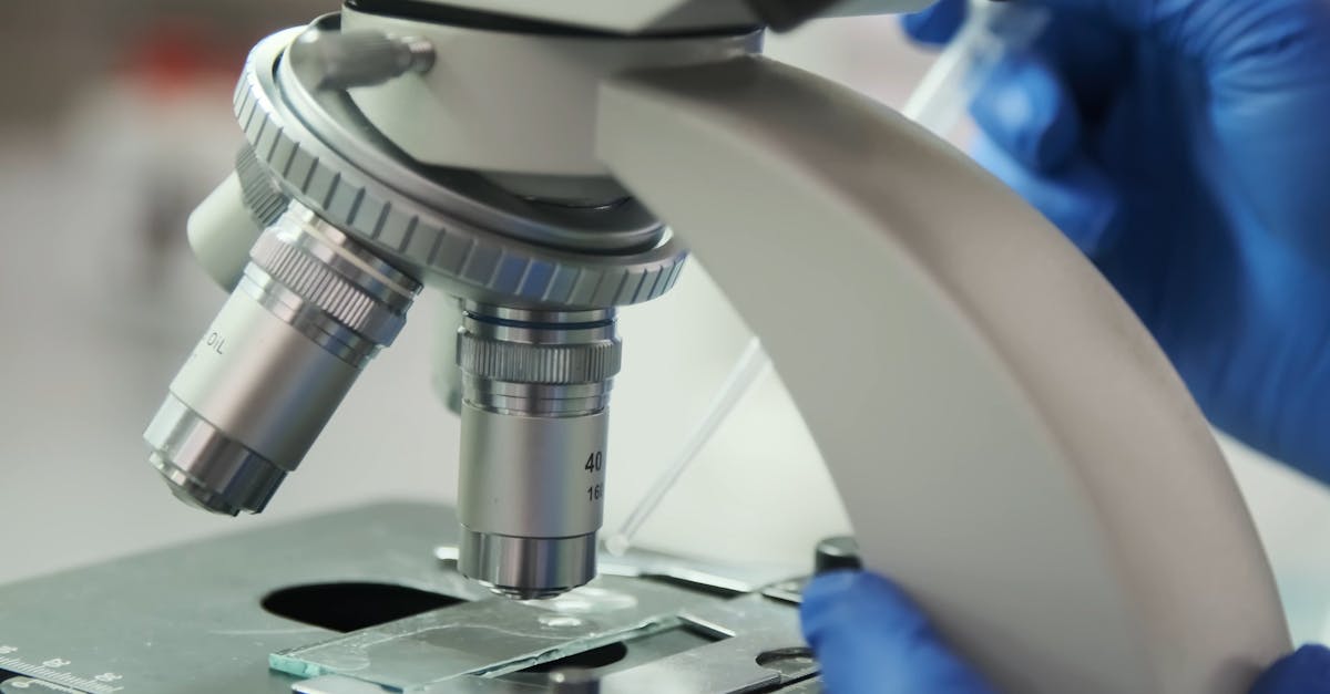 Close Footage Of Specimen Under A Microscope · Free Stock Video