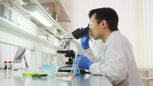 A Man in the Laboratory Looking Through a Microscope 