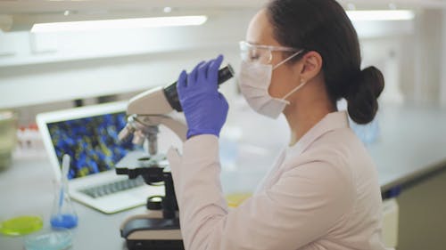 A Woman Scientist Working Inside A Laboratory