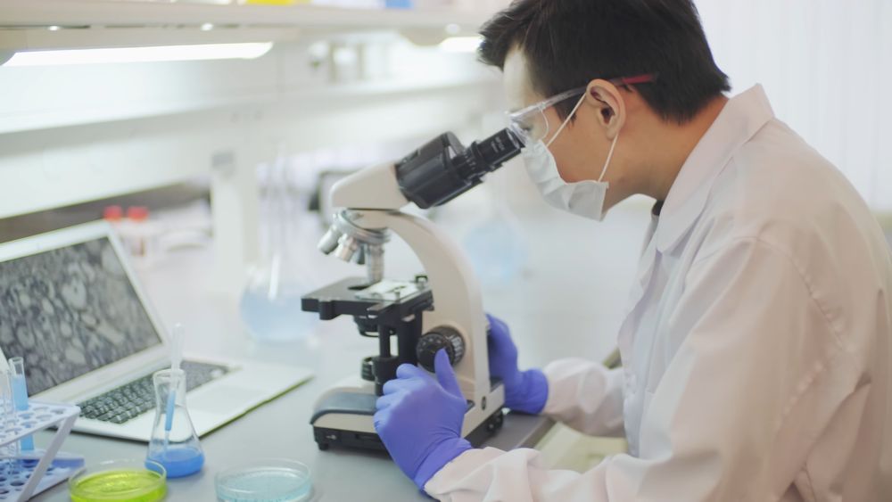 A Scientist Working In A Laboratory Free Stock Video a-scientist-working-in-a-laboratory-free-stock-video
