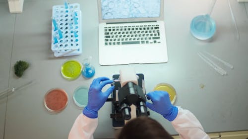 Person Looking Through the Microscope