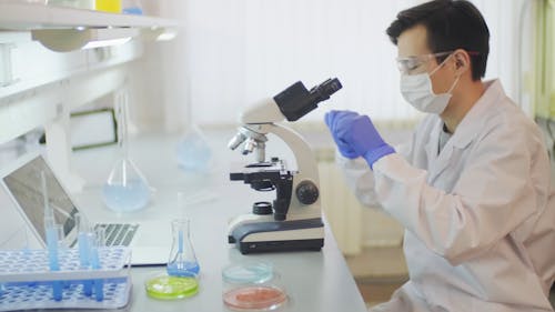 A Scientist Working In A Laboratory