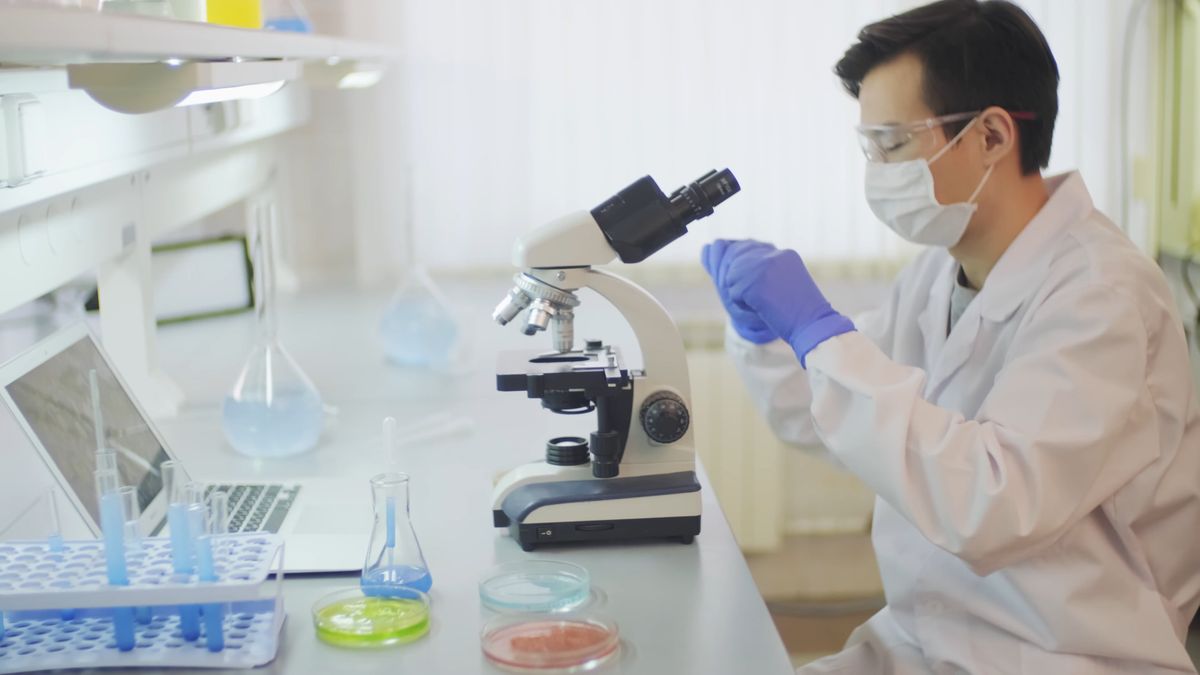 Food R&D laboratory research