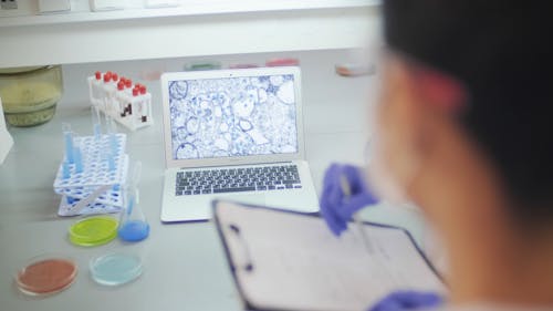 Scientist Working In A Laboratory