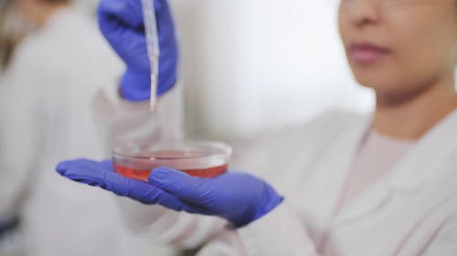 A Woman Dropping Samples on the Petri Dish